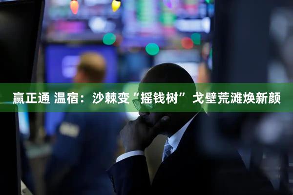 赢正通 温宿：沙棘变“摇钱树” 戈壁荒滩焕新颜