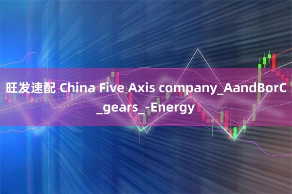 旺发速配 China Five Axis company_AandBorC_gears_-Energy