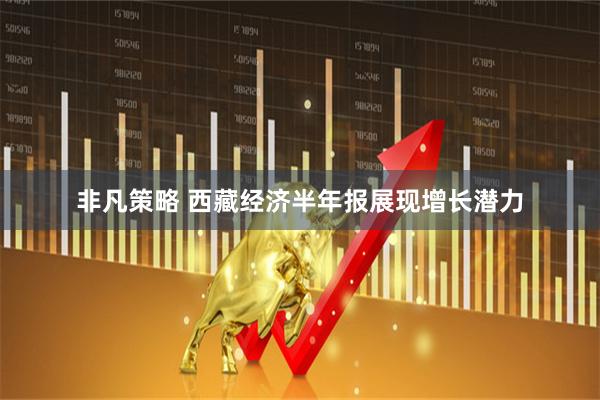 非凡策略 西藏经济半年报展现增长潜力