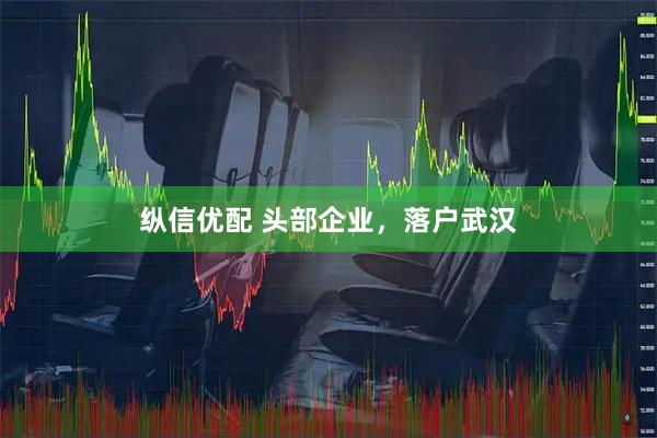 纵信优配 头部企业，落户武汉